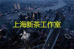 大师级泡茶表演，尽在上海茶庄